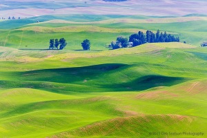 Steptoe-Butte-View-quilted-hills-Colfax-Washington-Palouse