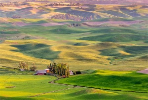 Steptoe-Butte-View-with-Red-Barn-Colfax-Whitman-County-Washington-Palouse