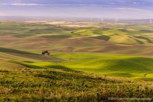Steptoe-Butte-View-with-Windfarm-Colfax-Whitman-County-Washington-Palouse