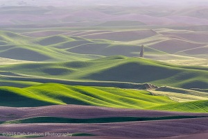 Steptoe-Butte-Waves-of-Purple-Colfax-Washington-Palouse