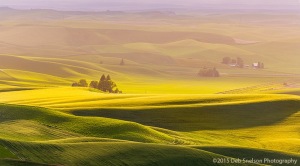Steptoe-View-green-gold-and-purple-Palouse-Washington