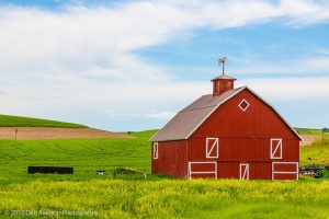 red-barn-with-horse-weathervane-Endicott-Washington-Palouse