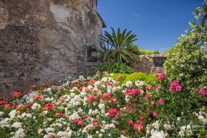 Garden-Outside-Castle-Brown-in-Portofino-Italy