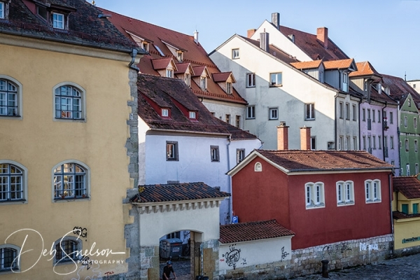 Buildings of Prague Along the Canal