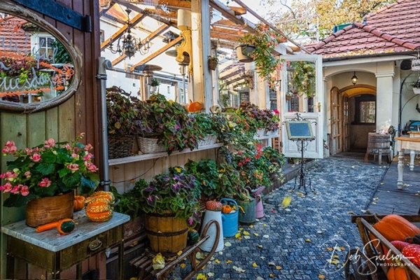 Restaurant in Lesser Town of Prague