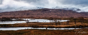 Predawn-Rannock-Moor-Scottish-Highlands