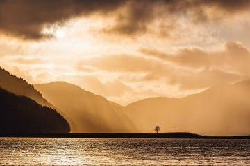 Silouetted-Tree-at-Eileen-Donan-Scotland