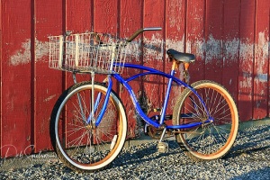 Bicycle-Transportation-on-Tangier-Island-in-Chesapeake-Bay-VA