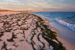 Tangier-Island-Beach-Sunset-Chesapeake-Bay-VA