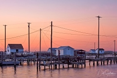 Tangier Island