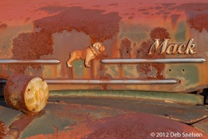 Mack-Truck-Graveyard