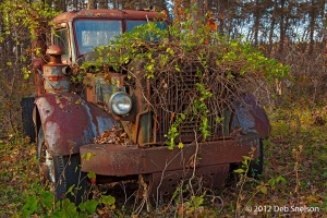 Truck-Graveyard-Autocar-2