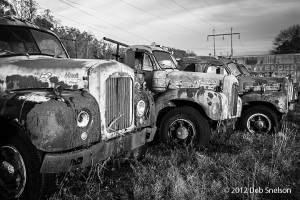 Truck-Graveyard-Mac-Truck-9