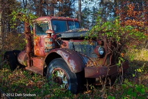 Truck-Graveyard-Reclaimed-by-vines-Autocar