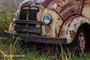 Truck-Graveyard-milk-truck-detail