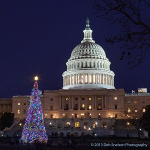 US-Capitol-Dome-and-Christmas-Tree-Washington-DC