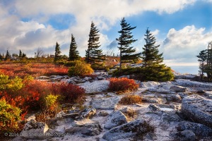 Bear-Rocks-Morning-Light-Dolly-Sods-West-Virginia
