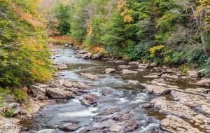 Blackwater-River-Davis-West-Virginia
