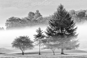 Canaan-Valley-Fog-Davis-West-Virginia