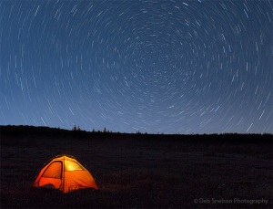 Dolly-Sods-Night-Sky-Davis-West-Virginia