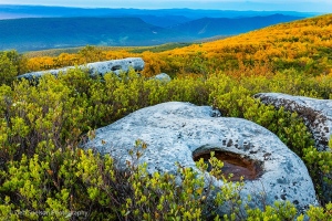 Dolly-Sods-at-Sunrise-Davis-West-Virginia