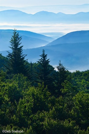 Dramatic-dawn-on-Allegheny-Mountains-from-Dolly-Sods-Wilderness-West-Virginia