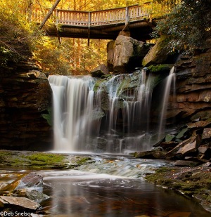 Elakala-Falls-Blackwater-Falls-State-Park-Davis-West-Virginia-October-Color