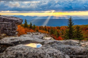 Last-lingering-rays-at-sunrise-Dolly-Sods-West-Virginia