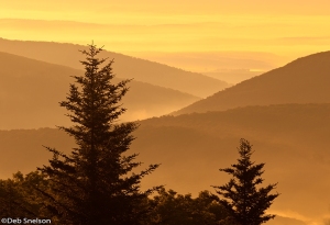 Misty-Dawn-over-Allegheny-Mountains-from-Dolly-Sods-Wilderness-West-Virginia