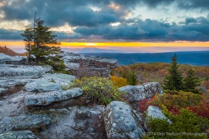 c21-Bear-Rocks-Preserve-Dolly-Sod-Wilderness-West-Virginia-Potamac-Highlands-Allegheny-Mountains