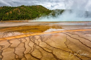 Details-at-Grand-Prismatic-Spring-Yellowstone-NP