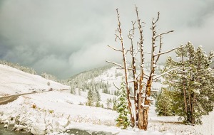 Dunraven-Pass-in-Snow-Yellowstone-National-Park