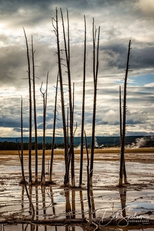 Fountain-Paint-Pots-Lower-Geyser-Basin-Yellowstone-NP