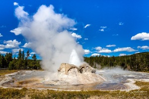 Grotto-Geyser-Upper-Geyser-Basin-Yellowstone-NP