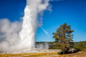 Old-Faithful-Geyser-Yellowstone-National-Park