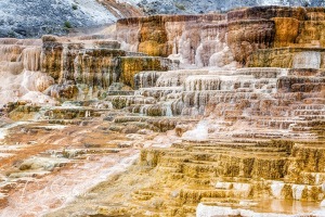 Palette-Spring-Mammoth-Hot-Springs-Yellowstone-NP