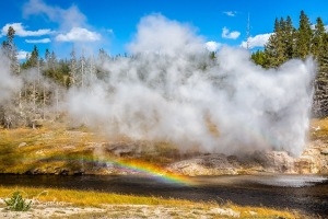 Riverside-Geyser-with-Rainbow-Yellowstone-NP