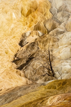 Travertine-at-Mammoth-Hot-Springs-Yellowstone-NP