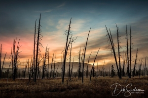 Yellowstone-National-Park-Sunrise-at-Artist-Paint-Pots