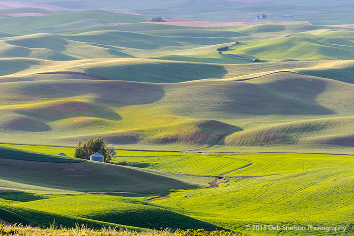 Steptoe Butte Sunset with backlit hills Colfax Whitman County ...