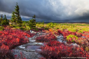 The Significance of Return Visits – Canaan Valley